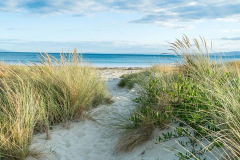 Freycinet Panorama - Sunshine Coast Guide 17