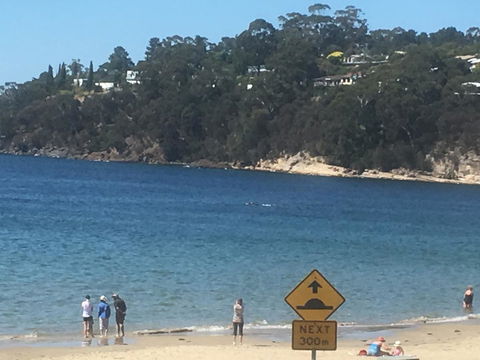 The Ultimate Beach House - Sunshine Coast Guide 2