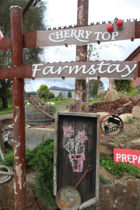 Cherry Top Farmstay - Boutique Eco Village - Sunshine Coast Guide 5