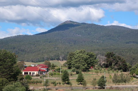 Cherry Top Farmstay - Boutique Eco Village - Sunshine Coast Guide 4