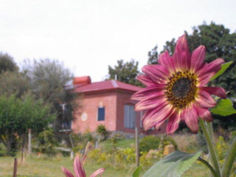 Cherry Top Farmstay - Boutique Eco Village - Sunshine Coast Guide 27