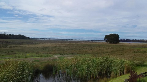 Pelican Point Sanctuary - Sunshine Coast Guide 21