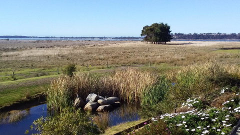 Pelican Point Sanctuary - Sunshine Coast Guide 7