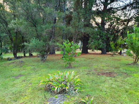 Roland B&B - Sunshine Coast Guide 31