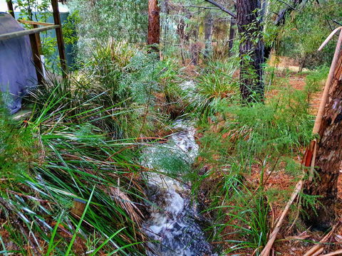 Roland B&B - Sunshine Coast Guide 22