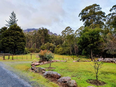 Roland B&B - Sunshine Coast Guide 19