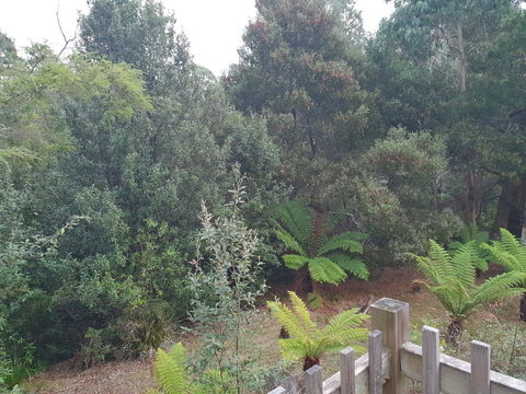 Roland B&B - Sunshine Coast Guide 41