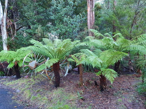 Roland B&B - Sunshine Coast Guide 33