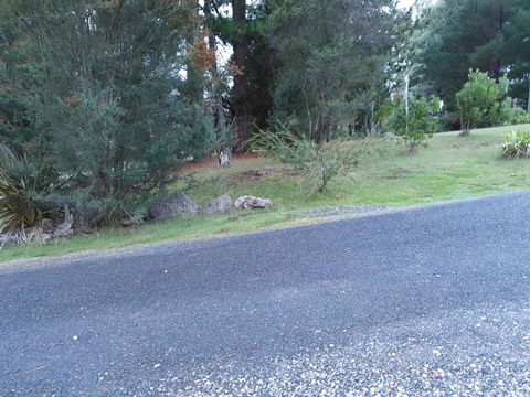 Roland B&B - Sunshine Coast Guide 24