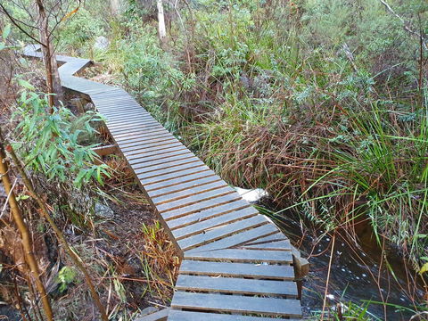 Roland B&B - Sunshine Coast Guide 34