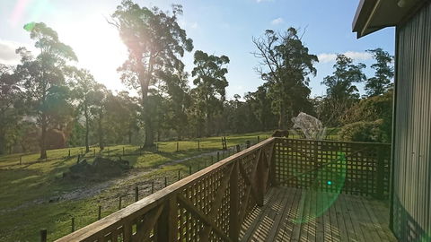 Glengarry Farm Stay BnB - Sunshine Coast Guide 6