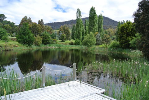 Hamlet Downs Country Accommodation - Sunshine Coast Guide 12
