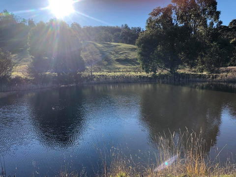 Hamlet Downs Country Accommodation - Sunshine Coast Guide 8