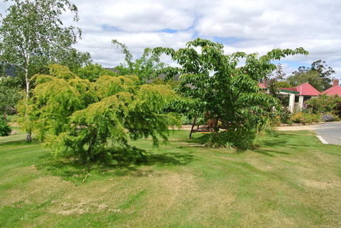 Hamlet Downs Country Accommodation - Sunshine Coast Guide 21