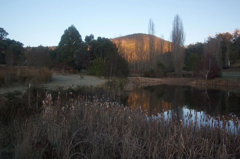 Hamlet Downs Country Accommodation - Sunshine Coast Guide 25