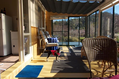 Hamlet Downs Country Accommodation - Sunshine Coast Guide 33