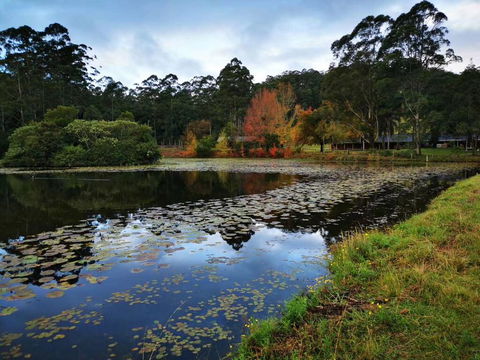 OCT Forest Lodge - Sunshine Coast Guide 2