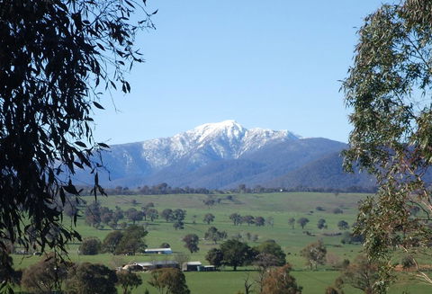Off Mountain Accommodation - Sunshine Coast Guide 0