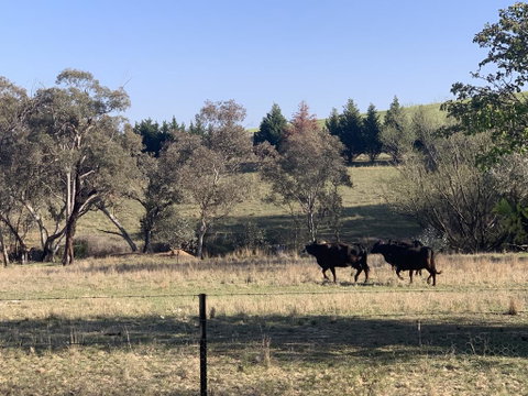 OConnell Retreat BnB - Sunshine Coast Guide 1