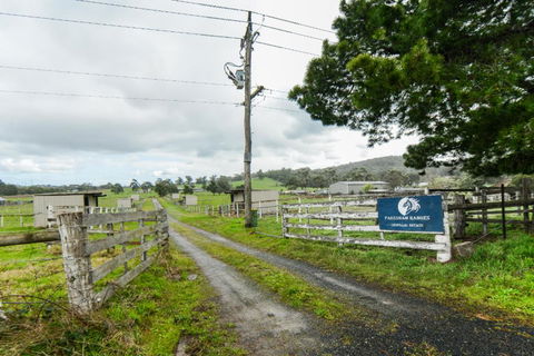 Pakenham Ranges - Sunshine Coast Guide 0