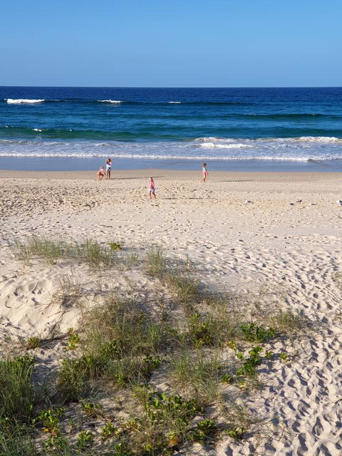 Palmy Sea Breeze - Sunshine Coast Guide 0