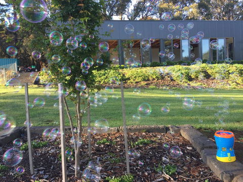 Paradiso Kinglake - Sunshine Coast Guide 1