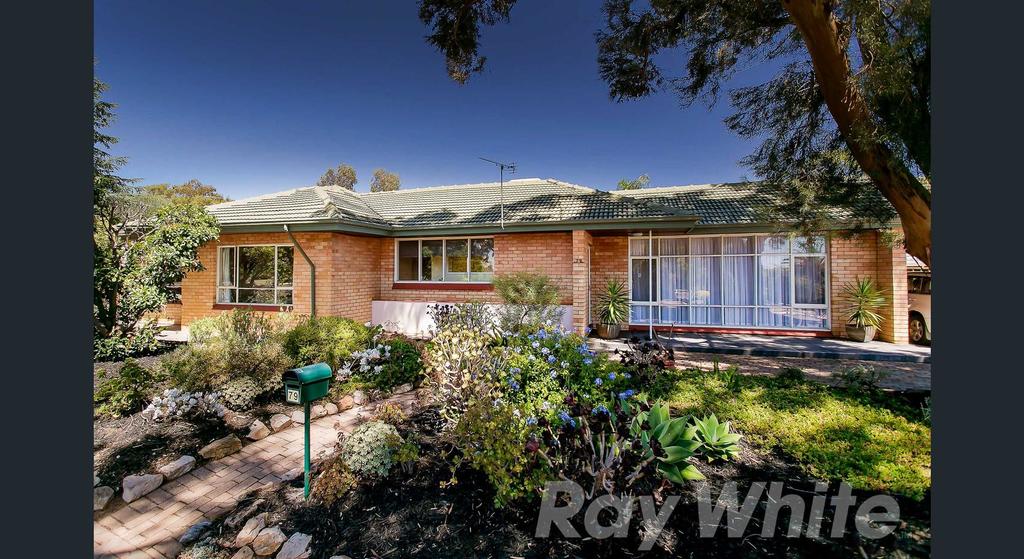 Pasadena SA Sunshine Coast Guide