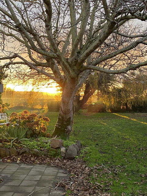 Peg Cottage - Sunshine Coast Guide 0