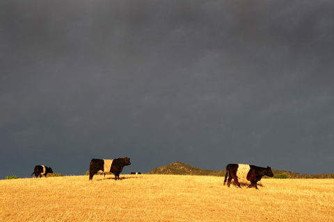 Peppertree Hill - Sunshine Coast Guide 0