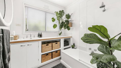 PERIWINKLE - MOUNT MARTHA - Sunshine Coast Guide 1