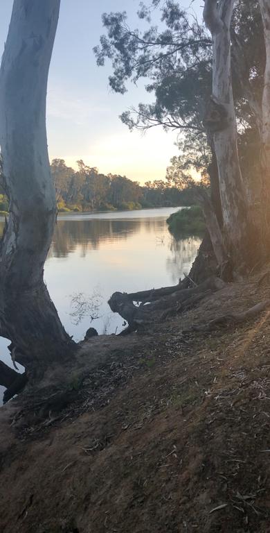 Perricoota Station - Sunshine Coast Guide 3