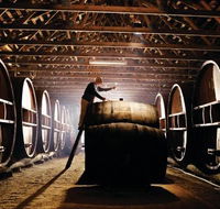 Pieter van Gent Winery  Vineyard - Sunshine Coast Guide