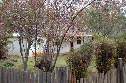 Pines Cottage - Sunshine Coast Guide 3