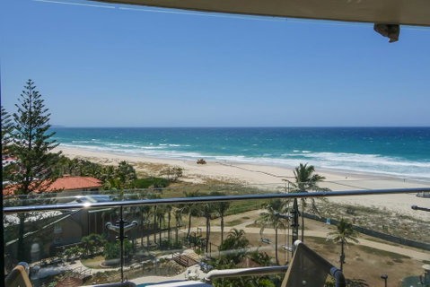 Princess Palm On The Beach - Sunshine Coast Guide 0