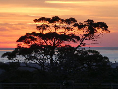 Red Hill Ridge - Sunshine Coast Guide 1