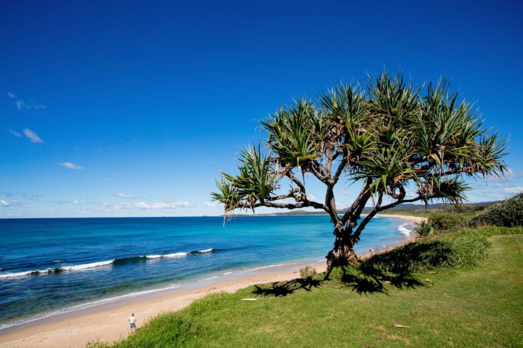 Corindi Beach NSW Sunshine Coast Guide