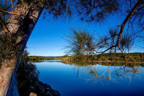 Reflections Holiday Parks Ferry Reserve - Sunshine Coast Guide 3