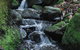 Rocky Creek Art Garden B&B - thumb 3
