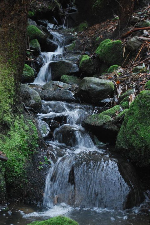 Rocky Creek Art Garden B&B - Sunshine Coast Guide 3