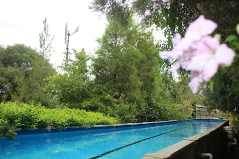 Rosebank Homestead And Farmstay - Sunshine Coast Guide 3