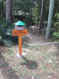 Book Long Beach Accommodation Vacations Sunshine Coast Guide Sunshine Coast Guide