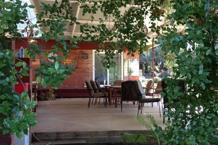 Sue's Sanctuary - Sunshine Coast Guide 1