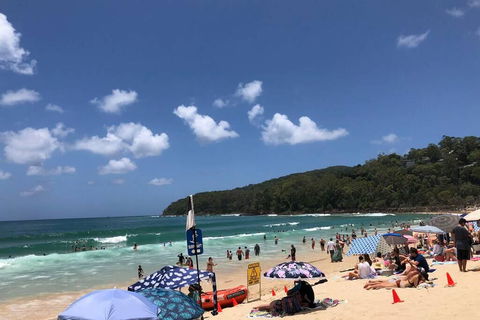 Sunshine Coast Cottage - Sunshine Coast Guide 3