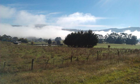 Birch Lane - Sunshine Coast Guide 30