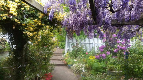 Birch Lane - Sunshine Coast Guide 20