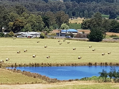 Birch Lane - Sunshine Coast Guide 4