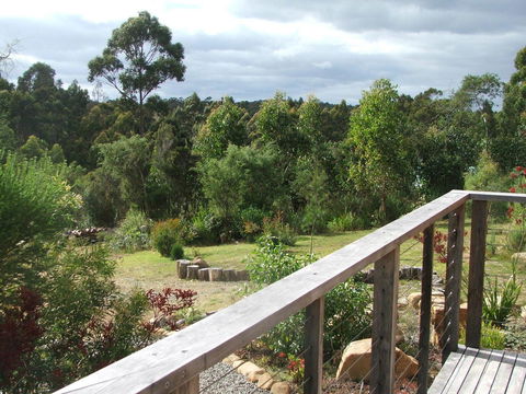 Southern Forest Accommodation - Sunshine Coast Guide 21