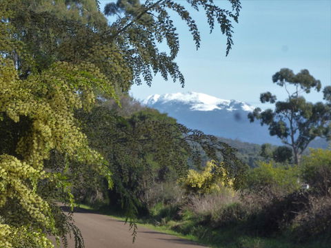 Southern Forest Accommodation - Sunshine Coast Guide 24
