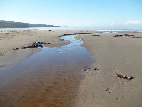 Southern Forest Accommodation - Sunshine Coast Guide 28