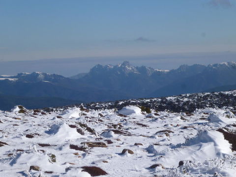Southern Forest Accommodation - Sunshine Coast Guide 29